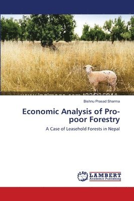 bokomslag Economic Analysis of Pro-poor Forestry