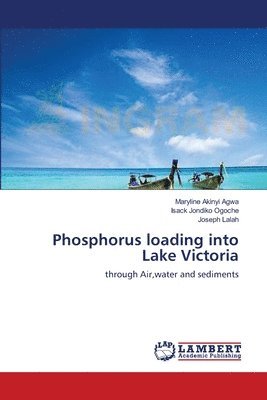 Phosphorus loading into Lake Victoria 1