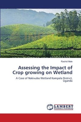Assessing the Impact of Crop growing on Wetland 1