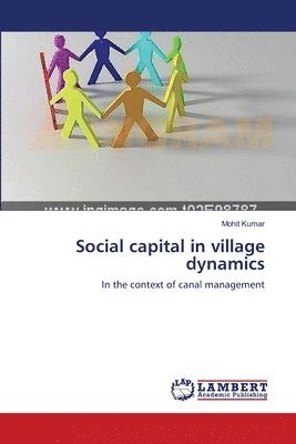 bokomslag Social capital in village dynamics