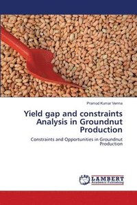 bokomslag Yield gap and constraints Analysis in Groundnut Production
