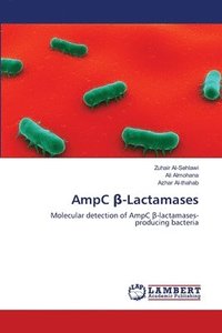 bokomslag AmpC &#946;-Lactamases