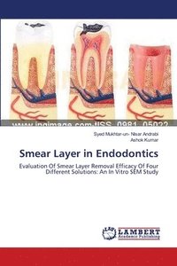 bokomslag Smear Layer in Endodontics
