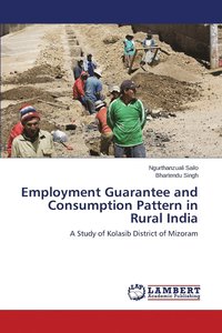 bokomslag Employment Guarantee and Consumption Pattern in Rural India