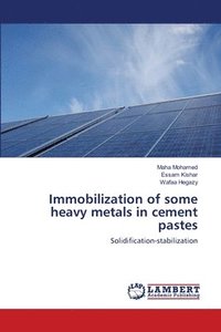 bokomslag Immobilization of some heavy metals in cement pastes