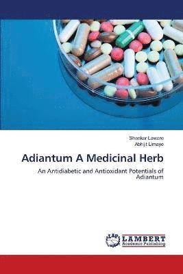 Adiantum A Medicinal Herb 1