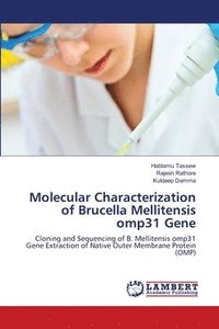 bokomslag Molecular Characterization of Brucella Mellitensis omp31 Gene