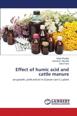 Effect of humic acid and cattle manure 1