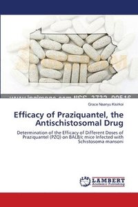 bokomslag Efficacy of Praziquantel, the Antischistosomal Drug