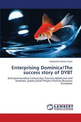 Enterprising Dominica!The success story of DYBT 1