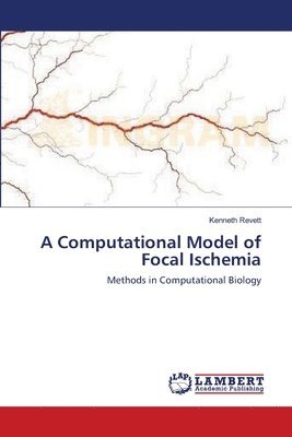 bokomslag A Computational Model of Focal Ischemia