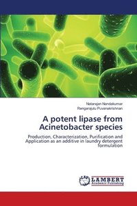 bokomslag A potent lipase from Acinetobacter species