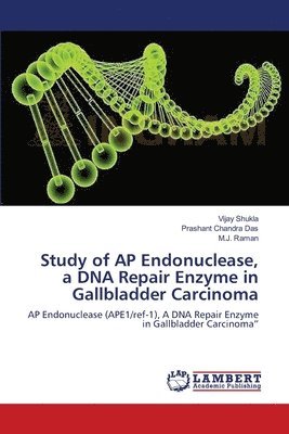 Study of AP Endonuclease, a DNA Repair Enzyme in Gallbladder Carcinoma 1