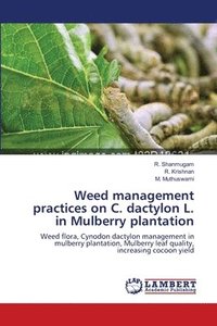 bokomslag Weed management practices on C. dactylon L. in Mulberry plantation