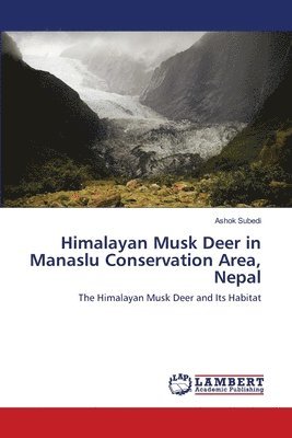Himalayan Musk Deer in Manaslu Conservation Area, Nepal 1