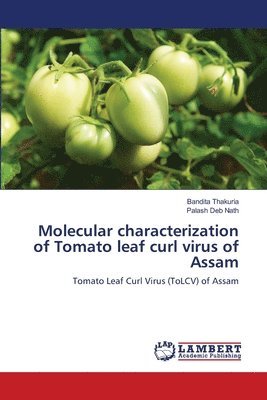 Molecular characterization of Tomato leaf curl virus of Assam 1