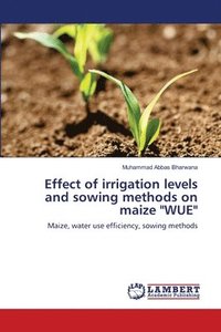 bokomslag Effect of irrigation levels and sowing methods on maize &quot;WUE&quot;