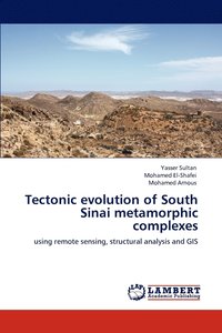 bokomslag Tectonic evolution of South Sinai metamorphic complexes