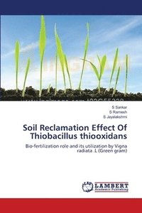 bokomslag Soil Reclamation Effect Of Thiobacillus thiooxidans