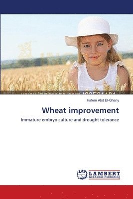 Wheat improvement 1