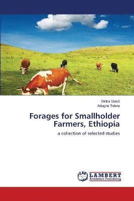 Forages for Smallholder Farmers, Ethiopia 1