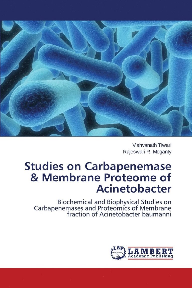 Studies on Carbapenemase & Membrane Proteome of Acinetobacter 1