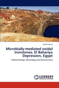 bokomslag Microbially-mediated ooidal Ironstones, El Bahariya Depression, Egypt