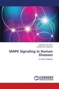 bokomslag MAPK Signaling in Human Diseases