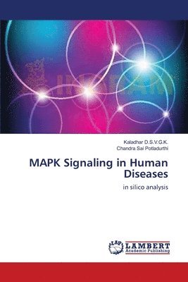 bokomslag MAPK Signaling in Human Diseases