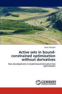 bokomslag Active Sets in Bound-Constrained Optimization Without Derivatives