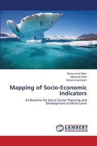 bokomslag Mapping of Socio-Economic Indicators
