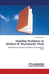 bokomslag Stability Problems in Walters B' Viscoelastic Fluid
