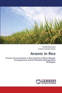 bokomslag Arsenic in Rice