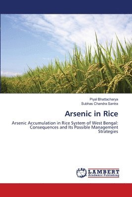 Arsenic in Rice 1