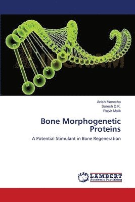 Bone Morphogenetic Proteins 1