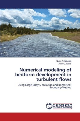 bokomslag Numerical modeling of bedform development in turbulent flows