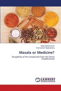 bokomslag Masala or Medicine?