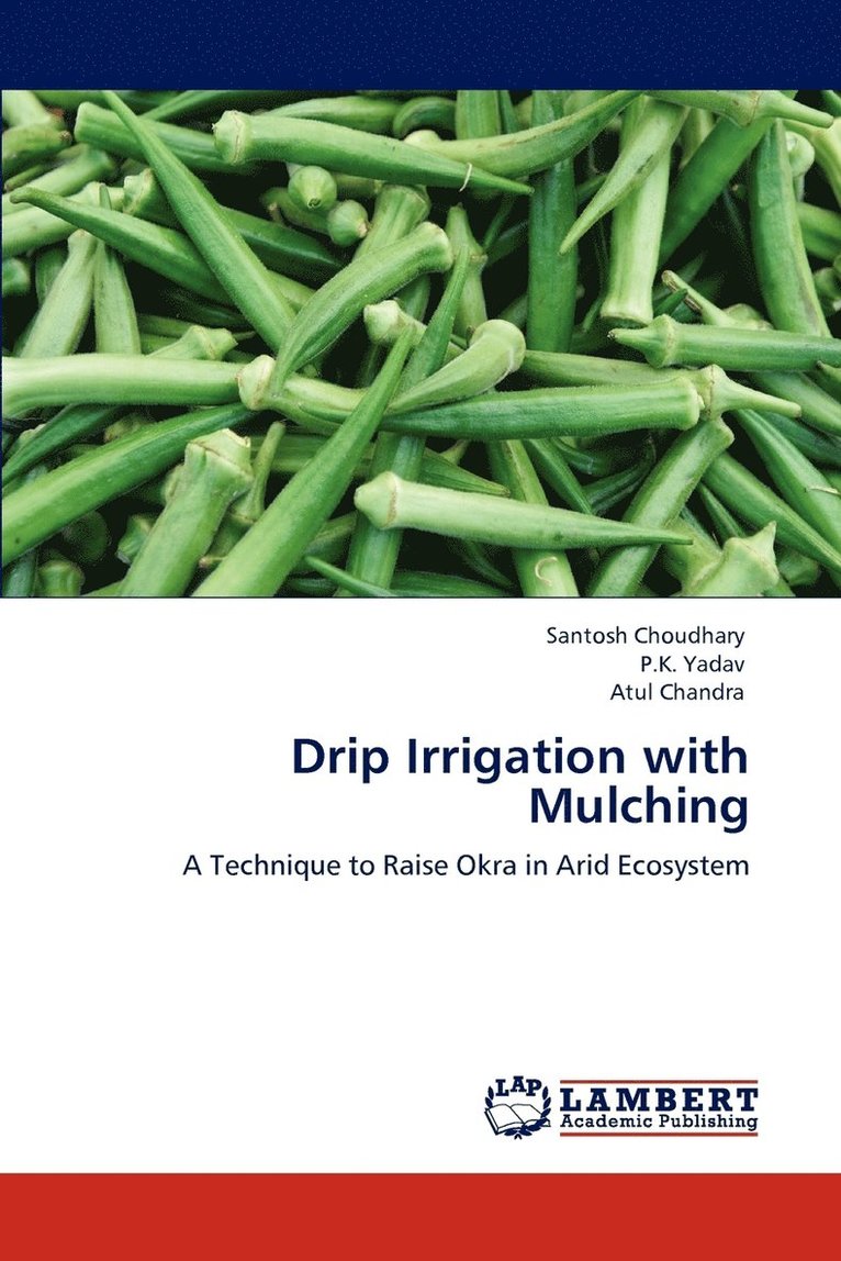 Drip Irrigation with Mulching 1