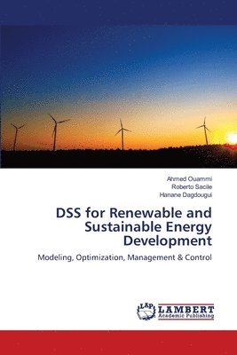 bokomslag DSS for Renewable and Sustainable Energy Development