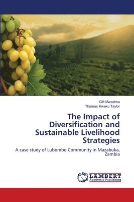 The Impact of Diversification and Sustainable Livelihood Strategies 1