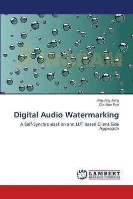 bokomslag Digital Audio Watermarking