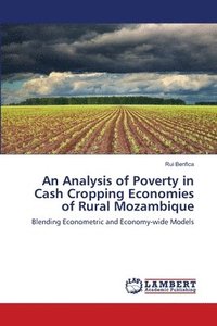 bokomslag An Analysis of Poverty in Cash Cropping Economies of Rural Mozambique