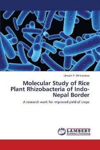 bokomslag Molecular Study of Rice Plant Rhizobacteria of Indo-Nepal Border