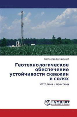 bokomslag Geotekhnologicheskoe Obespechenie Ustoychivosti Skvazhin V Solyakh