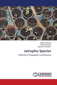 bokomslag Jatropha Species