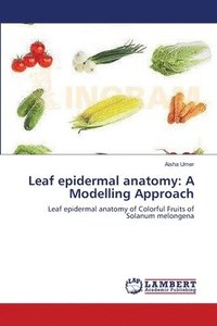 bokomslag Leaf epidermal anatomy