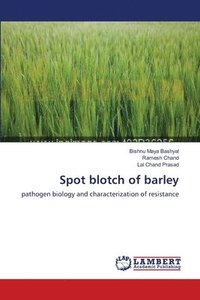 bokomslag Spot blotch of barley