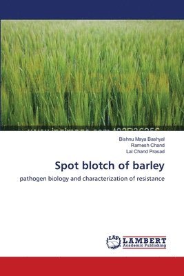 Spot blotch of barley 1