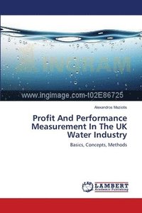 bokomslag Profit And Performance Measurement In The UK Water Industry
