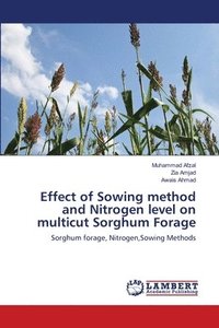 bokomslag Effect of Sowing method and Nitrogen level on multicut Sorghum Forage